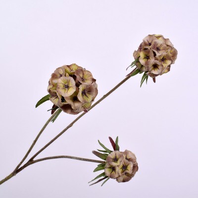 Scabiosa Kunstblume