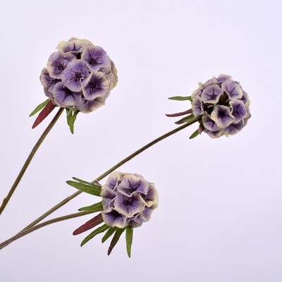 Scabiosa Kunstblume