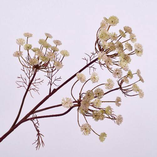 Dill Zweig Kunstblume