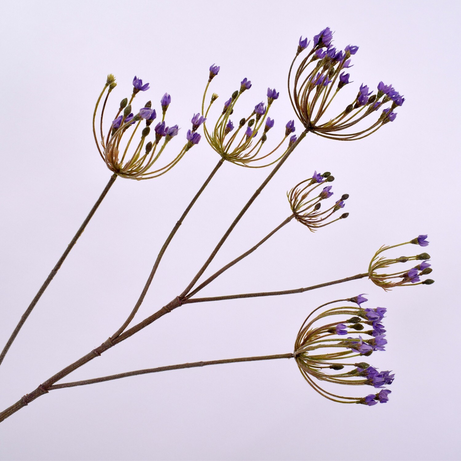 Queen Ann Lace Kunstblume