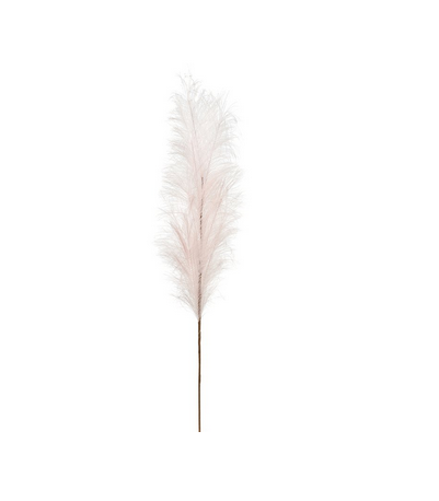 Pampas Gras Deko Zweig Rosé