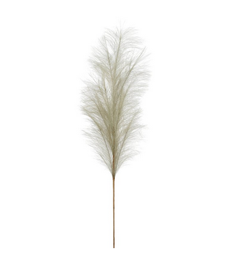Pampas Gras Deko Zweig Grau