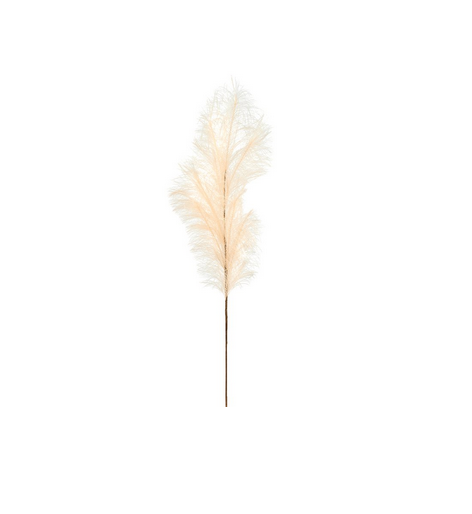 Pampas Gras Deko Zweig Puder