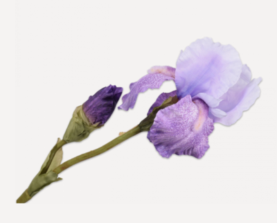 Iris Kunstblume - violett