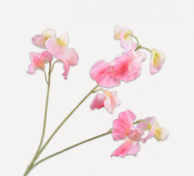 Lathyrus Zweig  rosa von Silk-ka