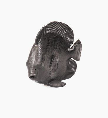 Housevitamin Plattfisch-schwarz