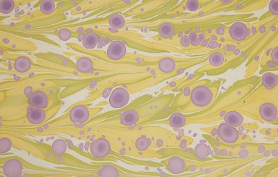 Paper Michi Geschenkpapier-handmarmoriert  Cosmos Wisteria