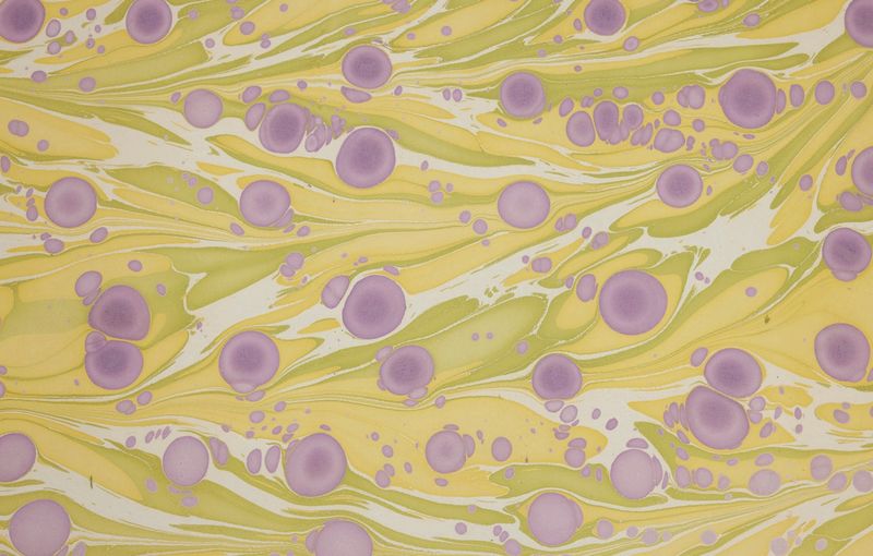 Paper Michi Geschenkpapier-handmarmoriert  Cosmos Wisteria