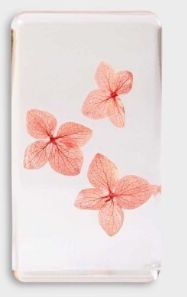 &klevering Amsterdam - Trockenblume pink-orange