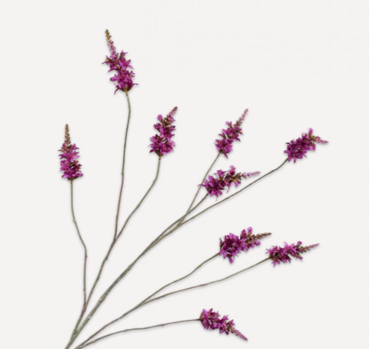 Seidelbast Zweig  lila von Silk-ka