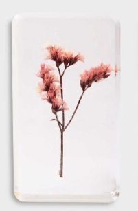 &klevering Amsterdam - Trockenblume rosa