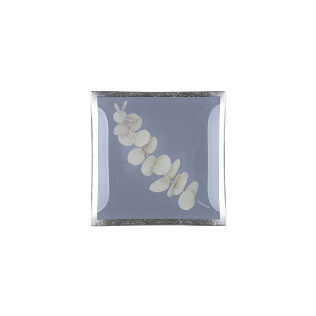 Gift Company Eukalyptus Glasteller S Gift Company Eukalyptus Glasteller S