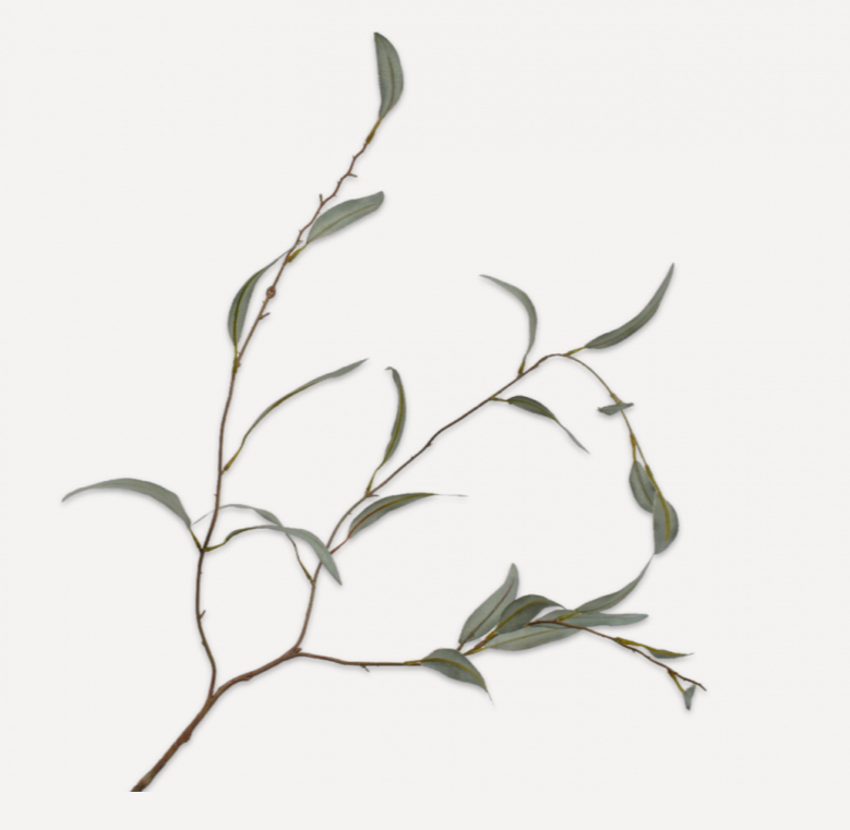 Eukalyptus  Zweig von Silk-ka