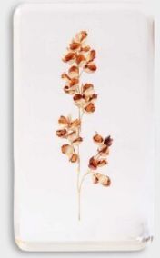 &klevering Amsterdam - Trockenblume beige &klevering Amsterdam - Trockenblume beige