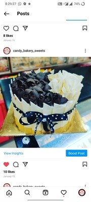 Chocolate Stylist Cake