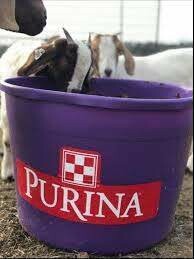 Purina Accuration Sheep and Goat Hi- Fat Block Purina Accuration Sheep and Goat Hi- Fat Block