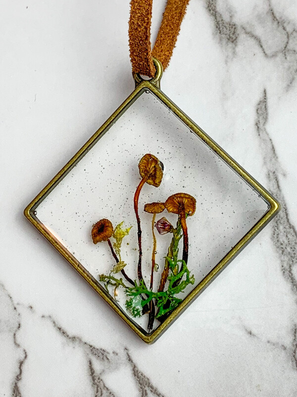 Tiny Mushrooms And Moss