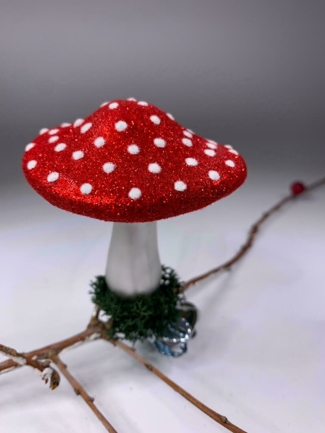 Fliegenpilz groß