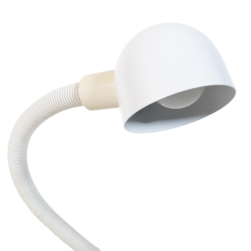 Flexible Hebi-style table lamp by Isao Hosoe for Valenti, 1970s