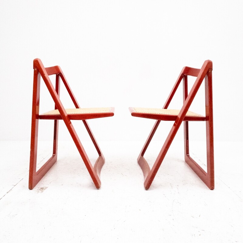 Set of 2 Mod. Trieste chairs by Aldo Jacober and Pierangela D&#39; Aniello for Bazzani, 1966