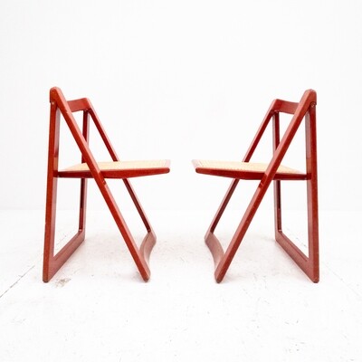 Set of 2 Mod. Trieste chairs by Aldo Jacober and Pierangela D' Aniello for Bazzani, 1966