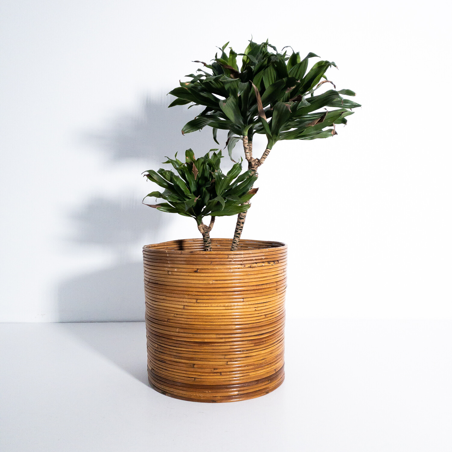 Bamboo plant pot, Italy 1960s