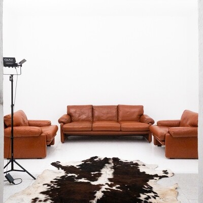 Coronado sofa and armchair living room set by Tobia Scarpa for B&B Italia