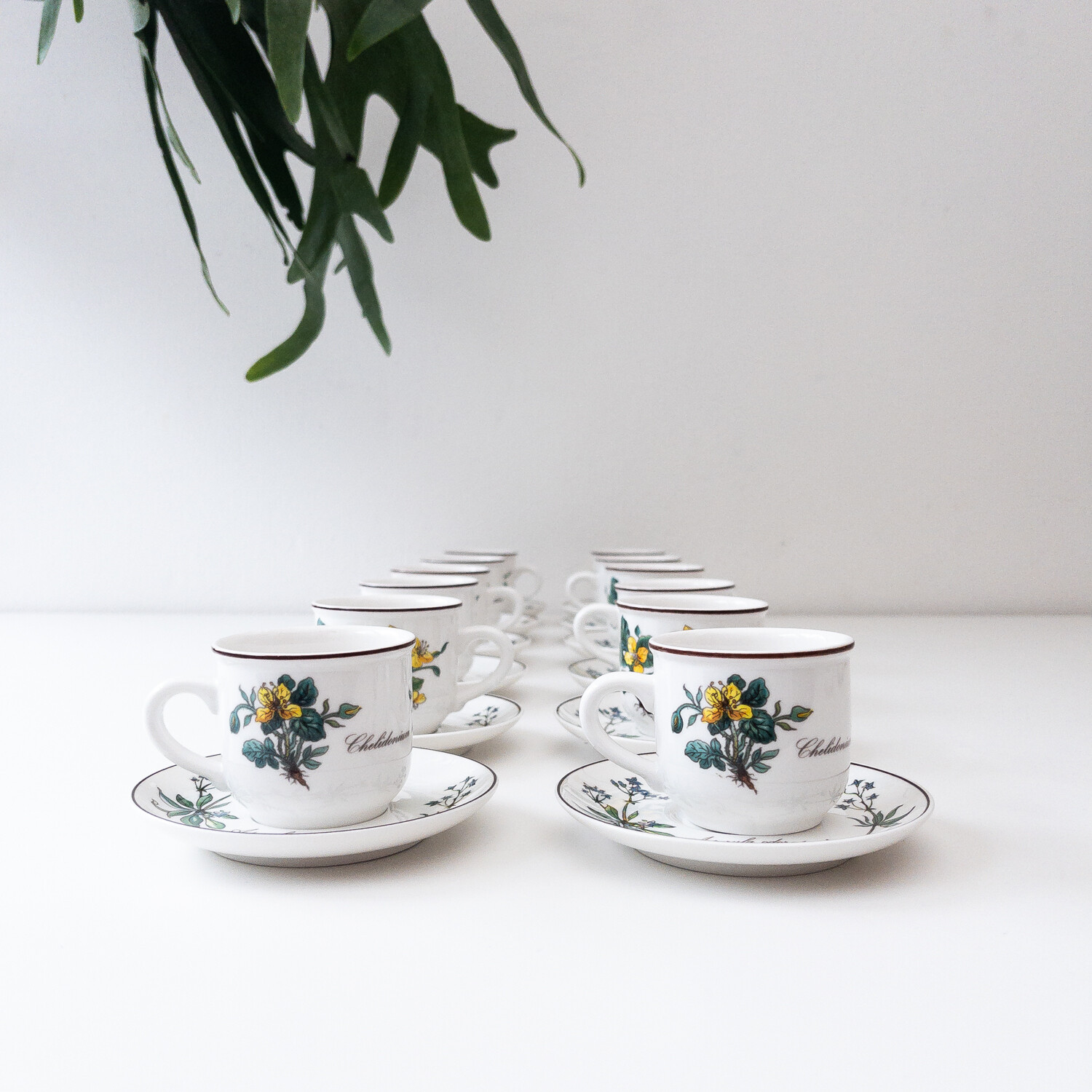 Botanica series porcelain service by Villeroy & Boch from the