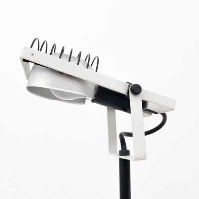 Floor lamp Sintesi Terra by Ernesto Gismondi for Artemide, 1970s