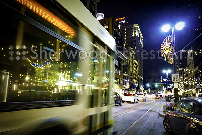 City Life
