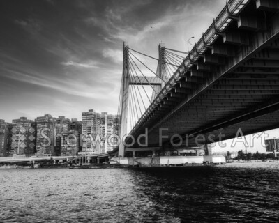 Tahya Misr (Long Live Egypt) Bridge