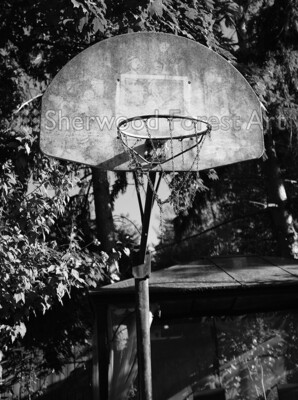 Hard in the paint
