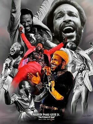 Marvin Gaye The Prince of Soul