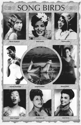 Song Birds Song Birds