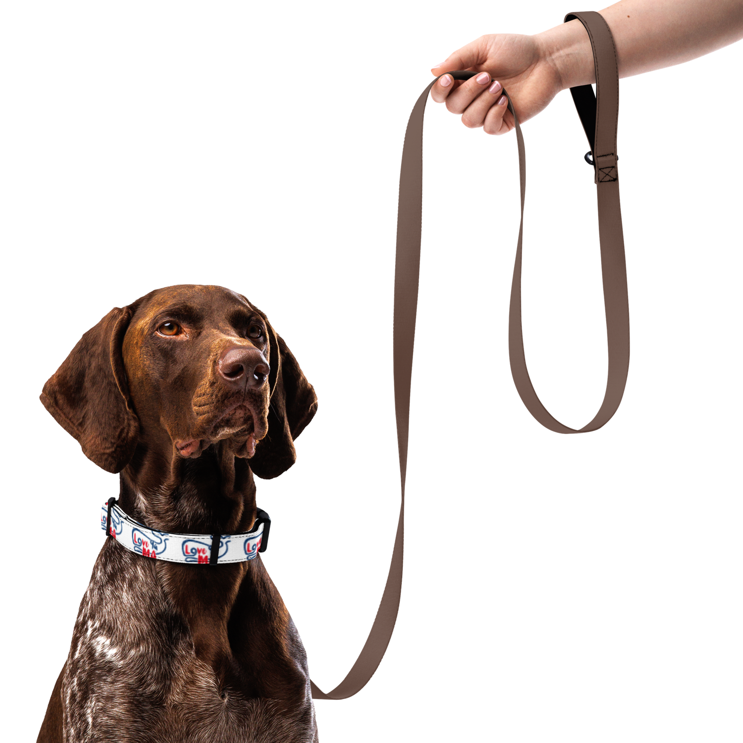 LYM Pet collar