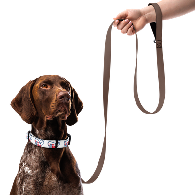 LYM Pet collar