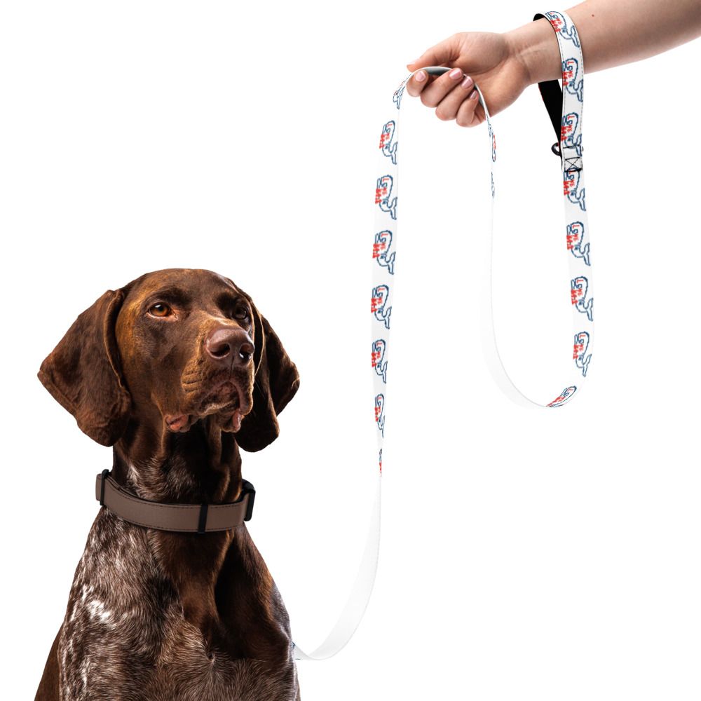 LYM Pet leash