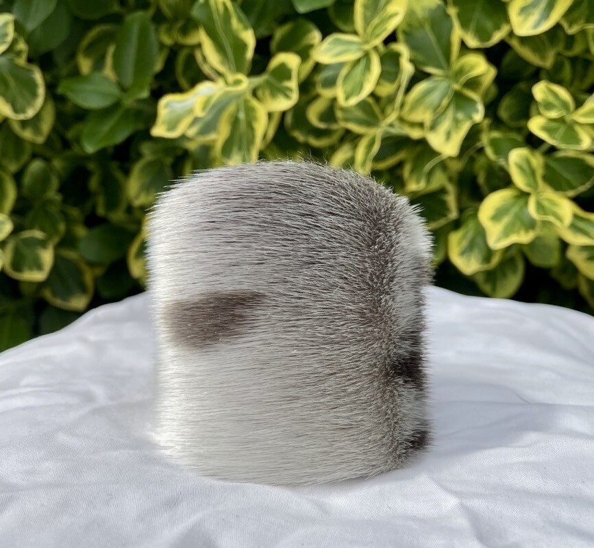 Sealskin Cuff Curved