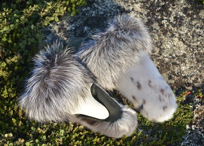 Sealskin and Fox Fur Mittens