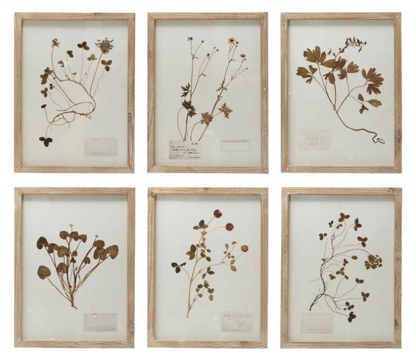 Small Botanical Print