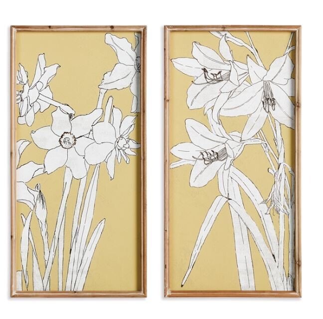 Flowering Amaryllis Print