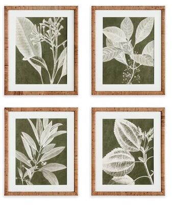 Wall Decor