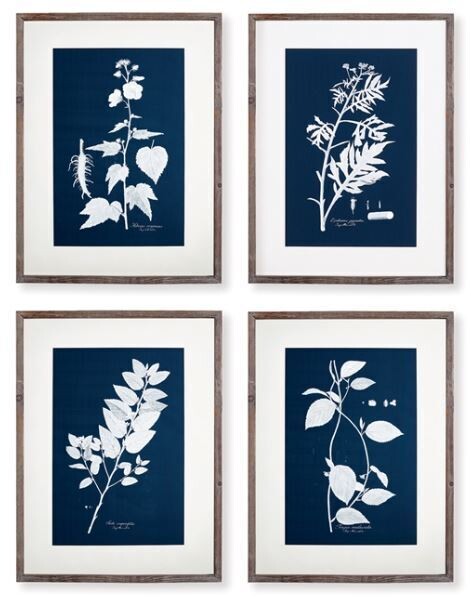 Cyano Botanical Leaf Study