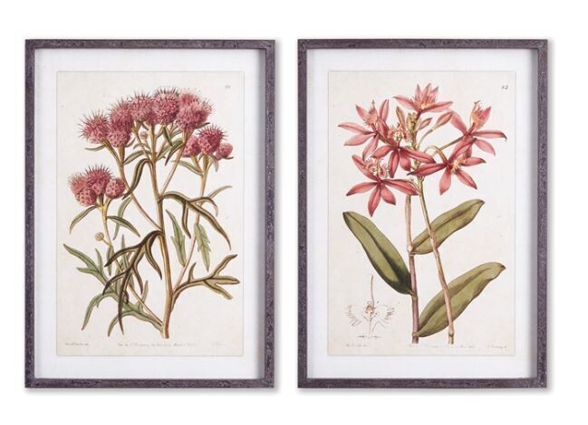 Pretty In Pink Vintage Print
