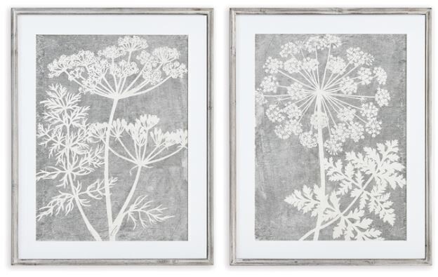 Queen Ann&#39;s Lace Print, Grey