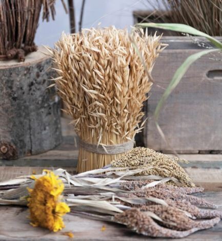 Dried Grass Bundle
