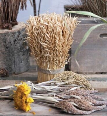Dried Grass Bundle