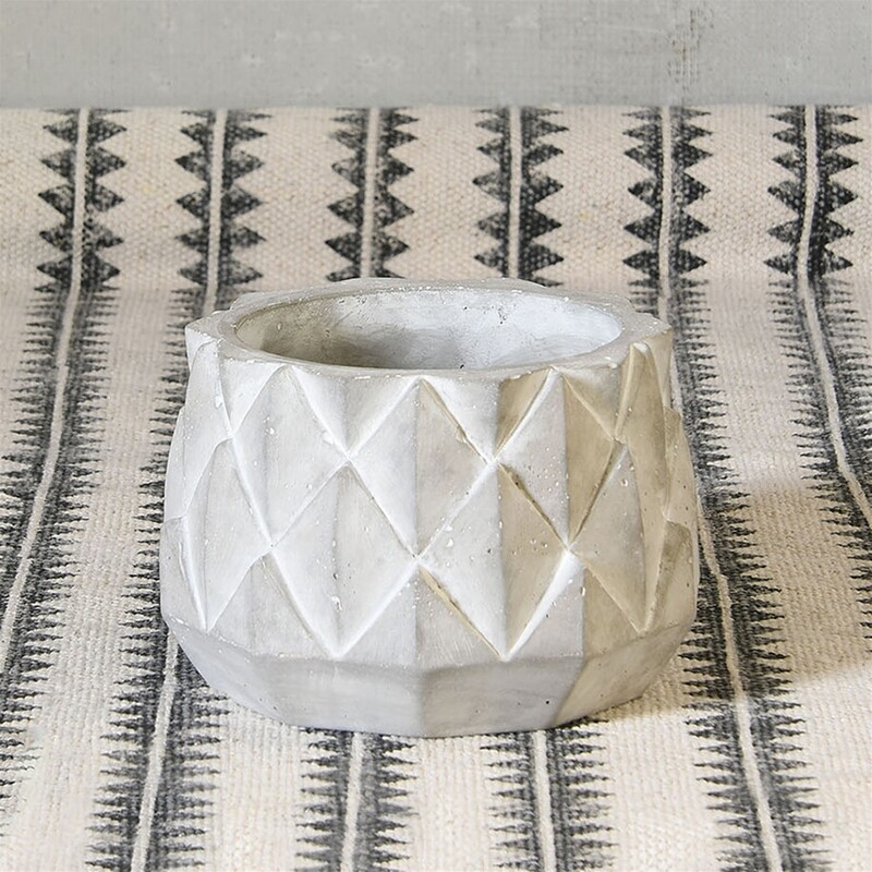 Sago Concrete Planter