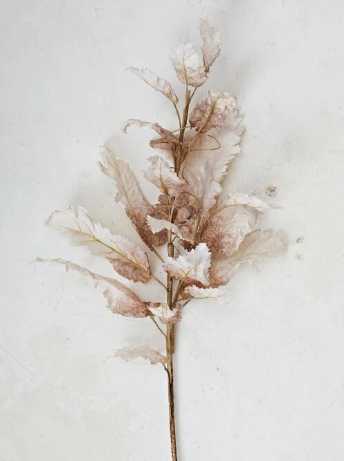 Neutral Leaf Stem
