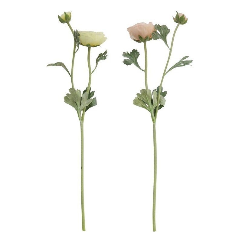 Ranunculus Stem, 22"